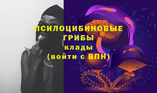 бутират Алексин