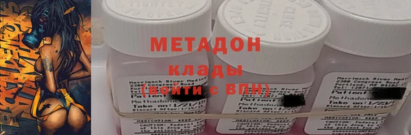 прущие грибы Михайловск
