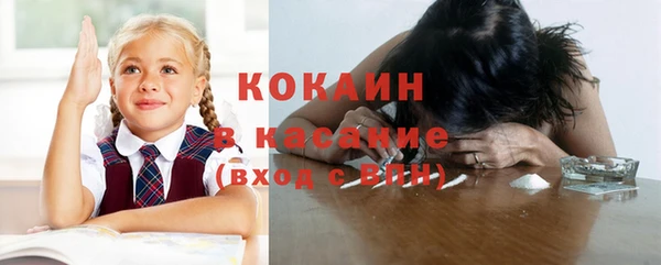 соль ск Михайлов