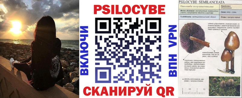 Псилоцибиновые грибы Cubensis  Соликамск 